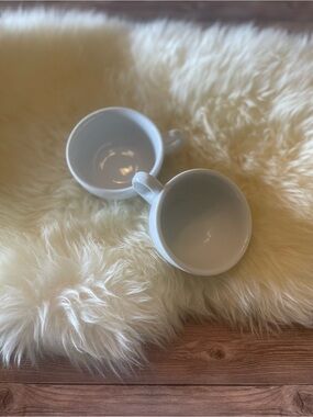 Crate & Barrel porcelain mugs ~ Set of 2